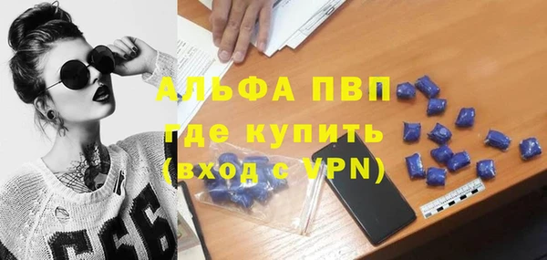 Альфа ПВП Ростов