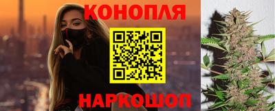 jwh Гатчина