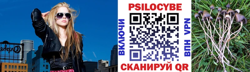 Галлюциногенные грибы MAGIC MUSHROOMS  МЕГА ТОР  Новотроицк  закладки 