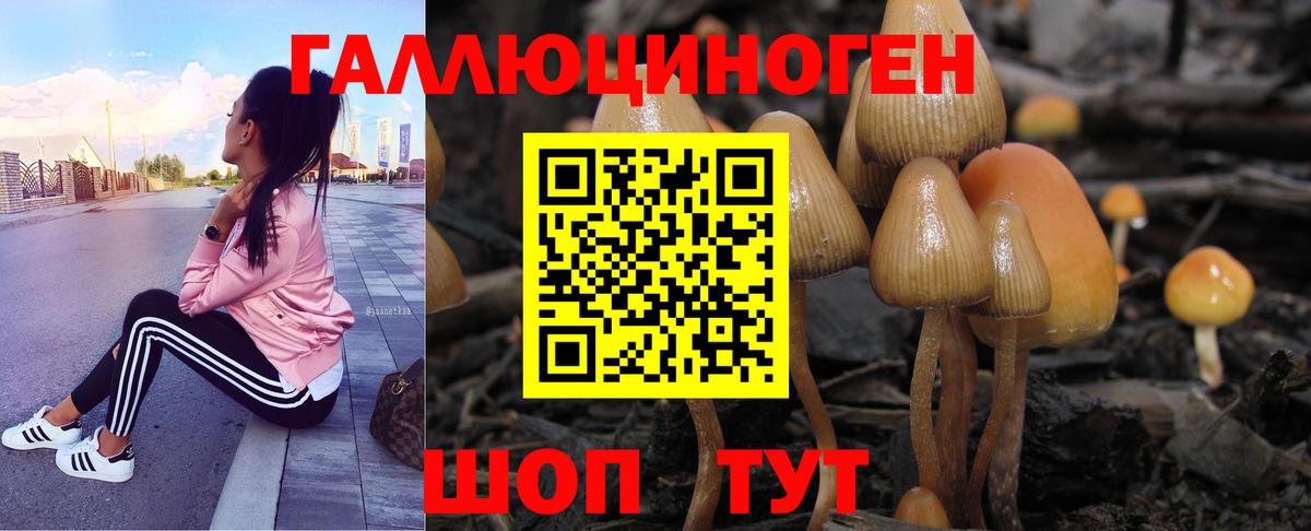 Псилоцибиновые грибы Cubensis Новотроицк