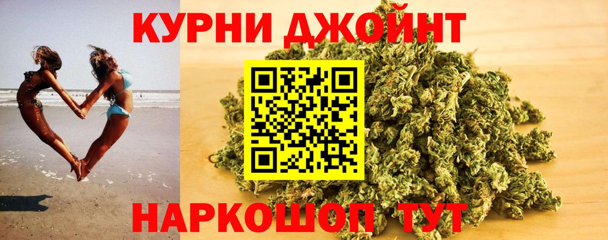 Каннабис сатива Новотроицк